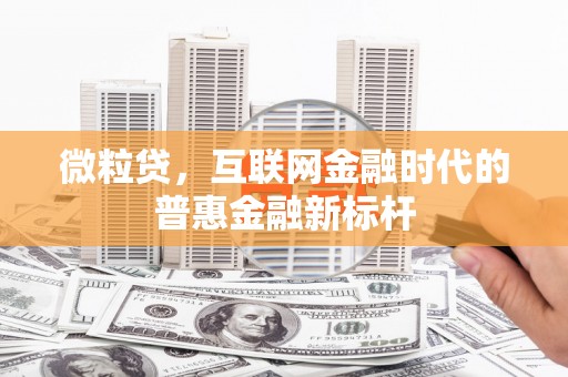 内湖微粒贷，互联网金融时代的普惠金融新标杆