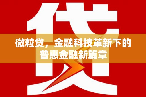 内湖微粒贷，金融科技革新下的普惠金融新篇章