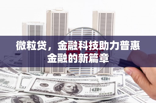 内湖微粒贷，金融科技助力普惠金融的新篇章