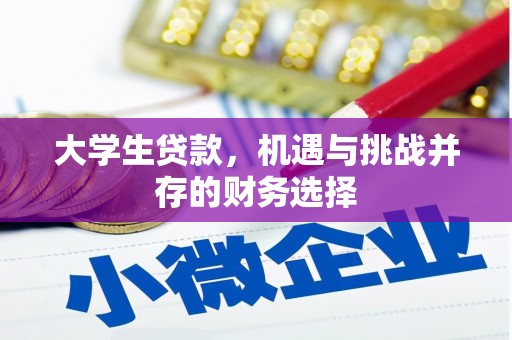 内湖大学生贷款，机遇与挑战并存的财务选择