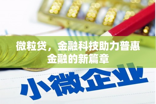 内湖微粒贷，金融科技助力普惠金融的新篇章