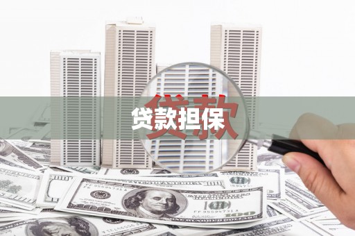 内湖贷款担保