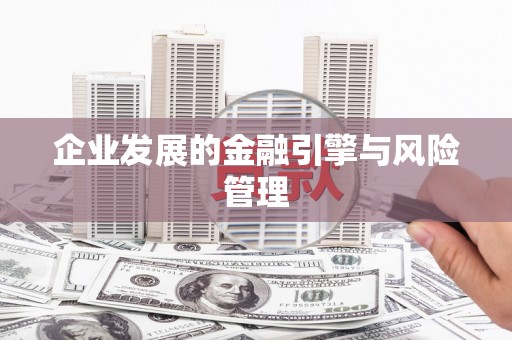 内湖企业发展的金融引擎与风险管理