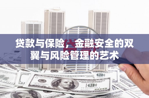 内湖贷款与保险，金融安全的双翼与风险管理的艺术