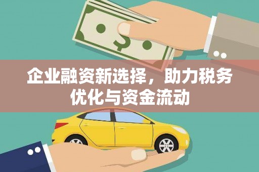 内湖企业融资新选择，助力税务优化与资金流动