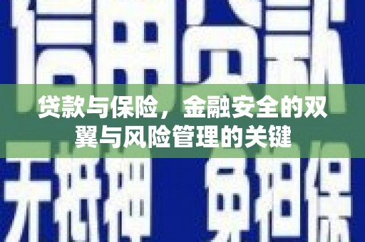 内湖贷款与保险，金融安全的双翼与风险管理的关键
