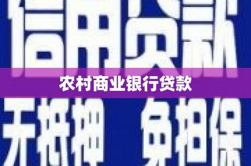 内湖农村商业银行贷款