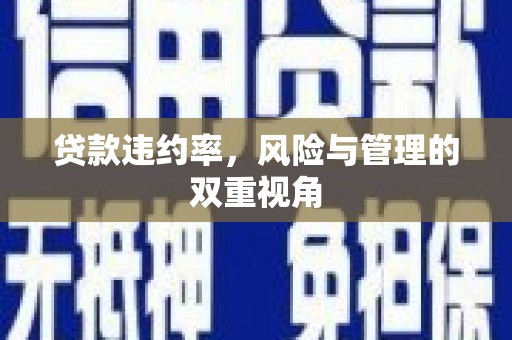 内湖贷款违约率，风险与管理的双重视角