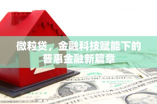 内湖微粒贷，金融科技赋能下的普惠金融新篇章