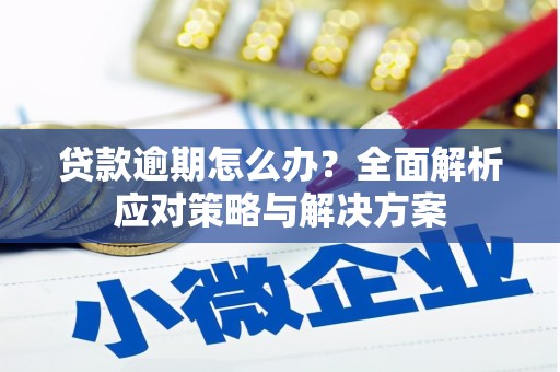 内湖贷款逾期怎么办？全面解析应对策略与解决方案