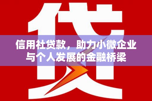 内湖信用社贷款，助力小微企业与个人发展的金融桥梁