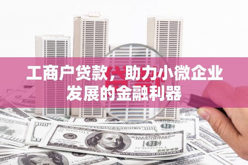 内湖工商户贷款，助力小微企业发展的金融利器