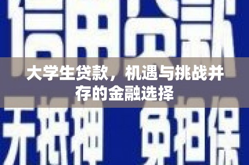 内湖大学生贷款，机遇与挑战并存的金融选择