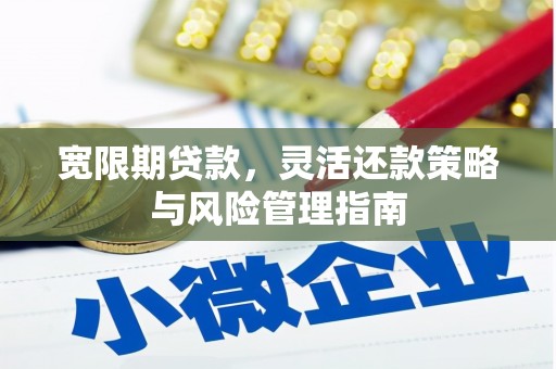 内湖宽限期贷款，灵活还款策略与风险管理指南