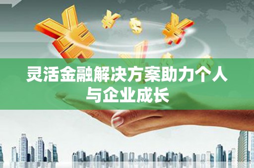 内湖灵活金融解决方案助力个人与企业成长