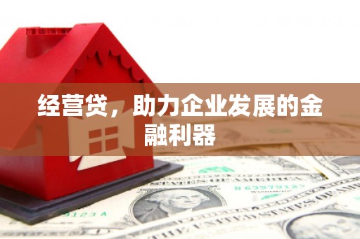 内湖经营贷，助力企业发展的金融利器