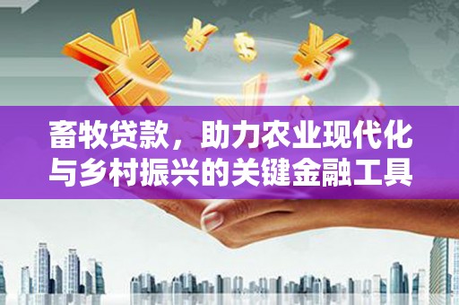 内湖畜牧贷款，助力农业现代化与乡村振兴的关键金融工具