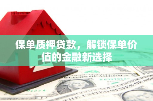 内湖保单质押贷款，解锁保单价值的金融新选择