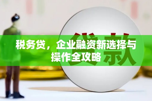 内湖税务贷，企业融资新选择与操作全攻略