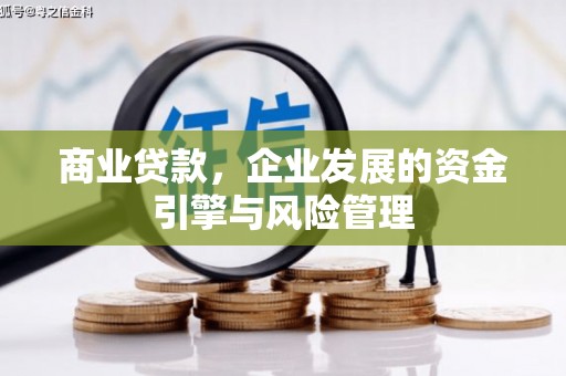 内湖商业贷款，企业发展的资金引擎与风险管理