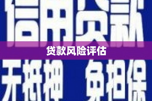 内湖贷款风险评估