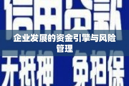 内湖企业发展的资金引擎与风险管理