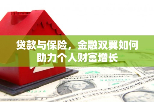 内湖贷款与保险，金融双翼如何助力个人财富增长