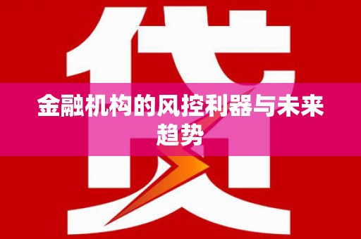 内湖金融机构的风控利器与未来趋势
