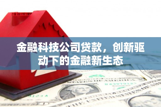 内湖金融科技公司贷款，创新驱动下的金融新生态