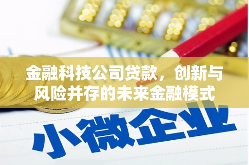 内湖金融科技公司贷款，创新与风险并存的未来金融模式