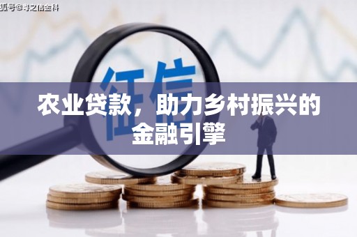 内湖农业贷款，助力乡村振兴的金融引擎