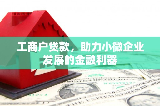 内湖工商户贷款，助力小微企业发展的金融利器