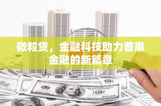 内湖微粒贷，金融科技助力普惠金融的新篇章
