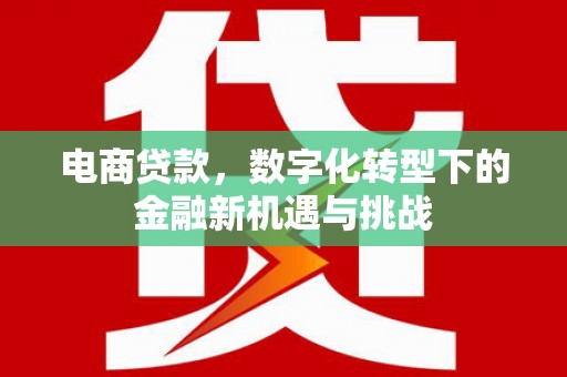 内湖电商贷款，数字化转型下的金融新机遇与挑战
