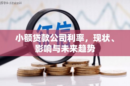 内湖小额贷款公司利率，现状、影响与未来趋势