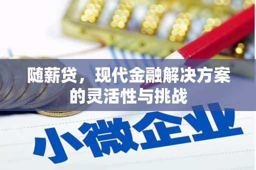 内湖随薪贷，现代金融解决方案的灵活性与挑战