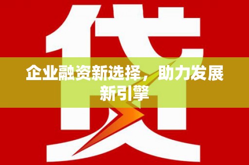 内湖企业融资新选择，助力发展新引擎