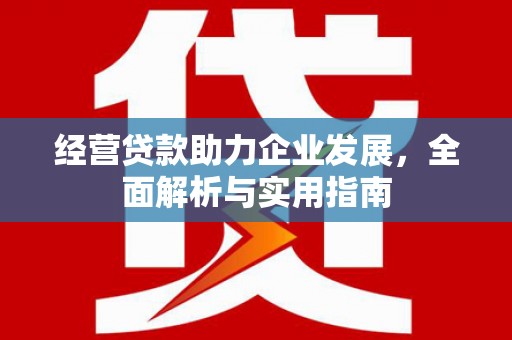 内湖经营贷款助力企业发展，全面解析与实用指南