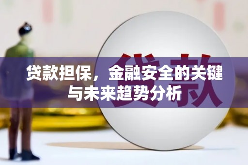 内湖贷款担保，金融安全的关键与未来趋势分析