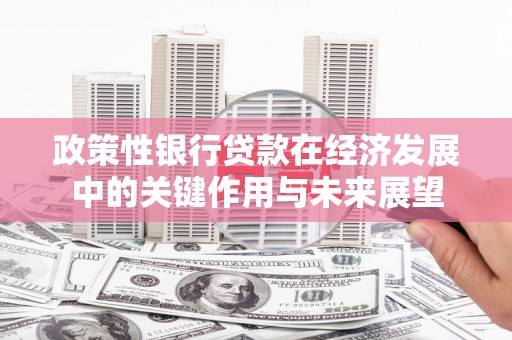 内湖政策性银行贷款在经济发展中的关键作用与未来展望