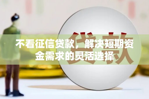 内湖不看征信贷款，解决短期资金需求的灵活选择