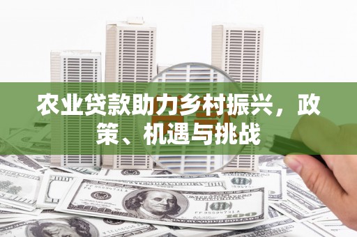 内湖农业贷款助力乡村振兴，政策、机遇与挑战