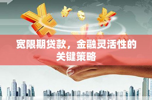 内湖宽限期贷款，金融灵活性的关键策略