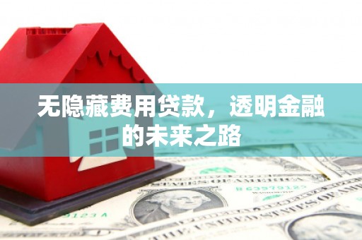 内湖无隐藏费用贷款，透明金融的未来之路