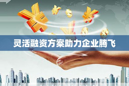 内湖灵活融资方案助力企业腾飞