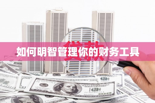 内湖如何明智管理你的财务工具