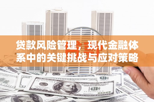 内湖贷款风险管理，现代金融体系中的关键挑战与应对策略