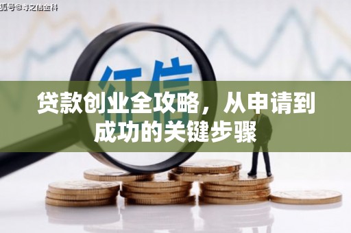内湖贷款创业全攻略，从申请到成功的关键步骤