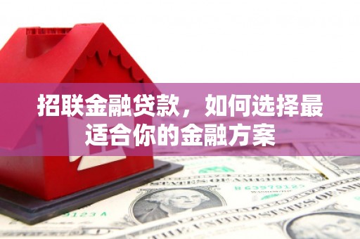 内湖招联金融贷款，如何选择最适合你的金融方案