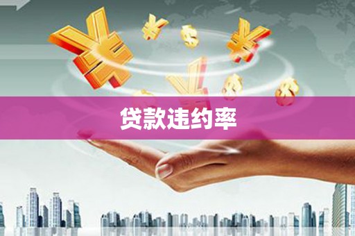 内湖贷款违约率